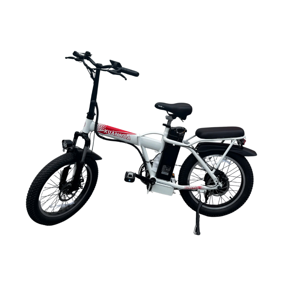 Xe FlexBike FS12B